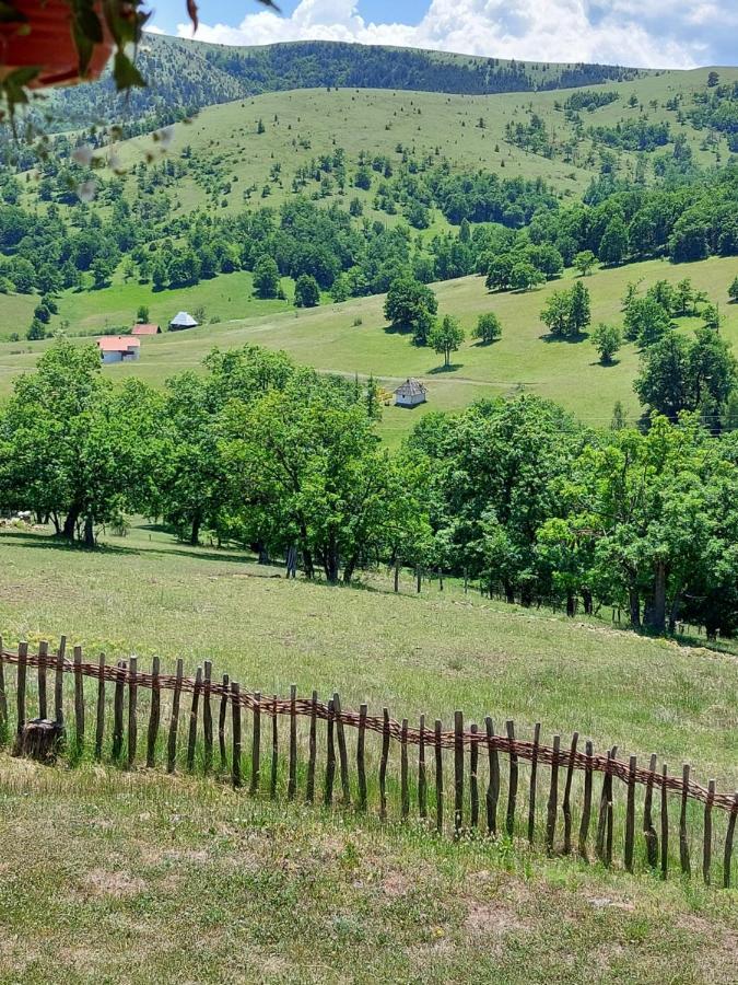 Iva Leilighet Zlatibor Eksteriør bilde